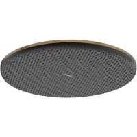 Верхний душ Hansgrohe Raindance Alive S 24520140 300 мм, бронза