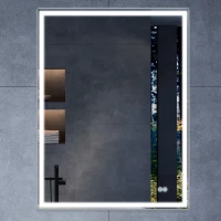 Зеркало Vincea VLM-3VN500-2 50x70 см, с LED-подсветкой, сенсорным выключателем, диммером, антизапотеванием