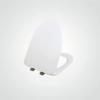 Сиденье для унитаза Arrow AB2230 с микролифтом, белый