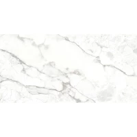 Керамический гранит Breccia Bianco 60x120