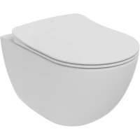 Унитаз подвесной Creavit Free FE322-00MB00E-0000 безободковый, с функцией биде, белый матовый