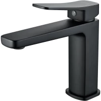 Смеситель для раковины Shevanik S9901H черный матовый