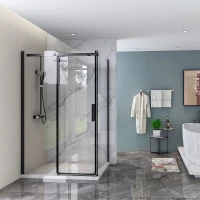 Душевой уголок Veconi Rovigo RV070B-14090-01-C4 140x89 см, профиль черный матовый, стекло прозрачное