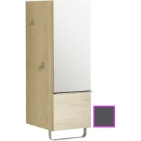 Полуколонна серый антрацит с зеркальной дверцей шарниры справа EB893D-N14