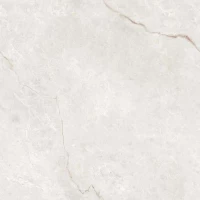 Керамогранит OC0000223 Infinity Venetian Blanco 60x60