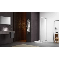 Душевая дверь 100 см Aquatek AQ ARI PI 10020CH прозрачное