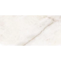 Керамический гранит Lemino Ivory 60x120