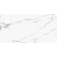 Керамогранит Calacatta Regal полированный 60x120