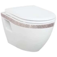 Унитаз подвесной Creavit Terra TP325.000W0 с функцией биде, белый/золото