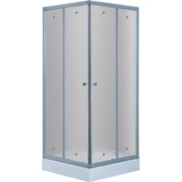 Душевой уголок с поддоном 100x100 см Timo TL-1102 F матовое