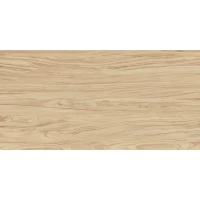 Керамогранит Kerama Marazzi Олива бежевый обрезной 60x119,5 SG565220R