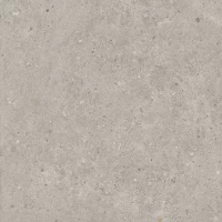 Керамогранит Kerama Marazzi Риккарди серый светлый матовый 60x60 SG653720R 