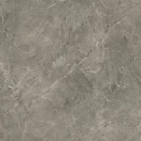 Керамогранит Rapid Grys 60x60