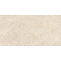 Керамогранит 004.869.0001.14164 Taj Mahal Polished Rect 60x120