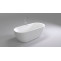 Акриловая ванна 170х80 см Black & White Swan 105SB00