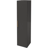 Пенал Jacob Delafon Odeon Rive Gauche EB2570D-R8-N14 подвесной R, серый антрацит