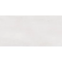 Плитка Bonita TWU09BNT004 24,9x50