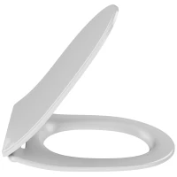 Сиденье для унитаза с микролифтом Jacob Delafon Odeon Rive Gauche E24891-00