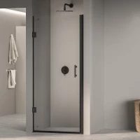 Душевая дверь RGW PA-06B Passage 41080609-14 90 см, профиль черный матовый, стекло прозрачное