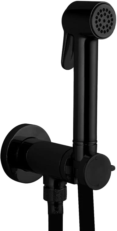Гигиенический душ Bossini Paloma Brass E37007B.073 со смесителем, черный матовый гигиенический душ со смесителем bossini