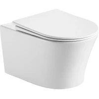 Унитаз подвесной D&K Bonn DT1706516 безободковый, торнадо, с сиденьем микролифт, белый