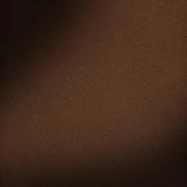 Клинкерная плитка Керамин Амстердам Шейд коричнево-черный 29,8х29,8 CK000041208