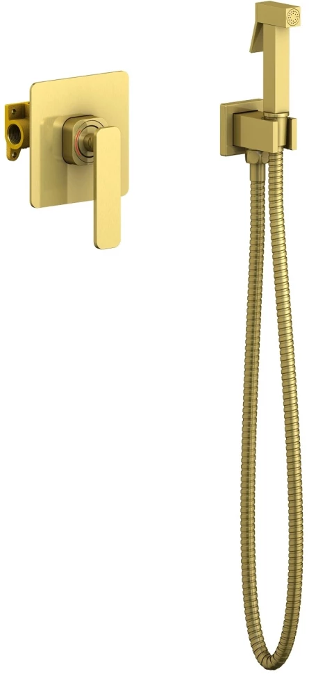 Гигиенический душ Timo Torne 4389/17SM со смесителем, золотой матовый