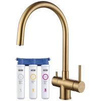 Смеситель для кухни с фильтром Paulmark Heller HE213218-BG + H851P00