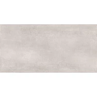 Плитка Bonita TWU09BNT404 24,9x50