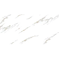 Керамогранит LV Granito Radial Statuario 60x120 892101