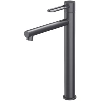 Смеситель для раковины IDDIS Duna DUNGM01i01 графит матовый