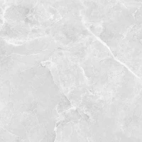 Керамогранит 45353 Beta Silver Carving 60x60