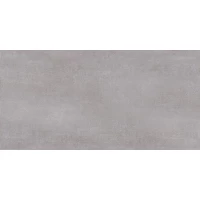 Плитка Bonita TWU09BNT707 24,9x50