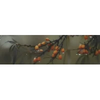 Декор Kerama Marazzi Тракай 6 глянцевый 8.5x28.5 OS/A118/9016