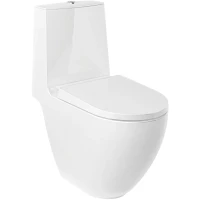 Унитаз напольный Kludi Resa D 24WCB0643 безободковый, без бачка, вертикальный выпуск, торнадо, белый