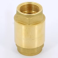 Клапан обратный пружинный с металлическим затвором 1