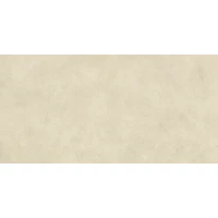 Керамогранит Atlas Concorde Boost Expression Camel R10 60x120