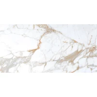 Керамогранит Roman Brown (Authentic) 60x120