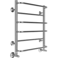 Полотенцесушитель водяной Terminus Евромикс П6 4670078530141 600x532, хром