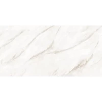 Керамогарнит NT Ceramic Empire Pearl Endless 60х120