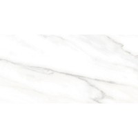 Плитка Euphoria TWU2550EPH04 24,9x50