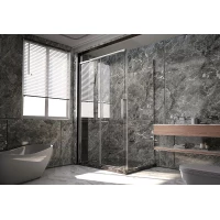 Душевой уголок 150x99 см Veconi Premium Trento PTC40-SP-150100-CH-01-C4 прозрачное