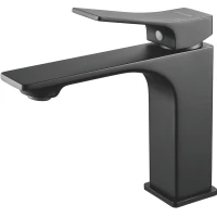 Смеситель для раковины Shevanik S6101H черный матовый