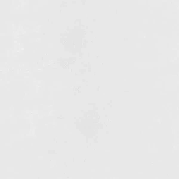 

Керамогранит SILICA Bianco Sugar 60х60