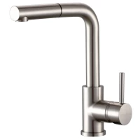 Смеситель для кухни Paulmark Kassel KA214311-NI