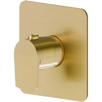 Термостат для душа Newform Haka 67691E.59.097 встраиваемый, золотой матовый