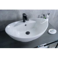 Раковина-чаша GID N9018 59x39 см, накладная, белый