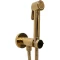 Гигиенический душ Bossini Paloma Brass E37005B.021 со смесителем, золотой - 1