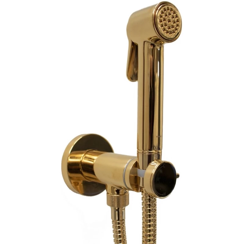 Гигиенический душ Bossini Paloma Brass E37005B.021 со смесителем, золотой