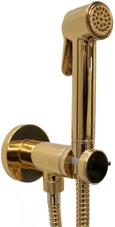Гигиенический комплект Bossini Paloma Brass E37005B.021 гигиенический комплект bossini paloma brass e37005b 021